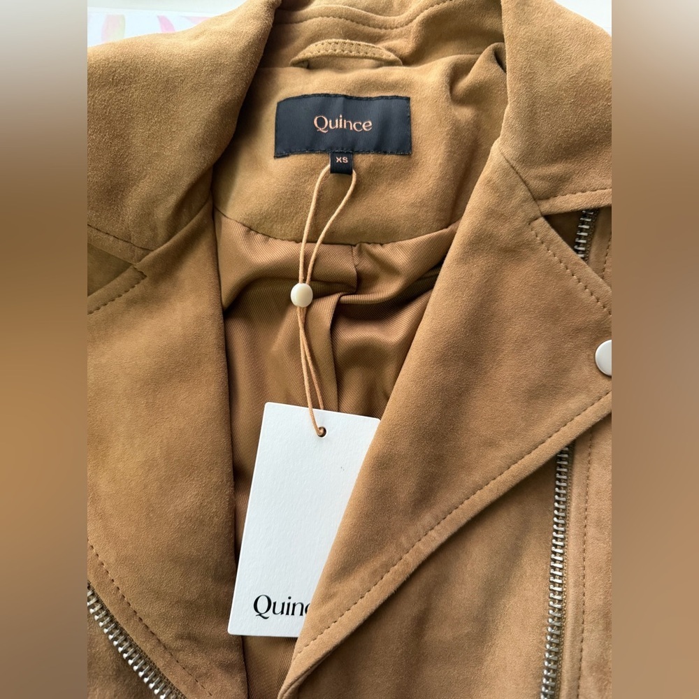 Quince 100% Suede Biker Jacket in XS pecan brown - Picture 6 of 17